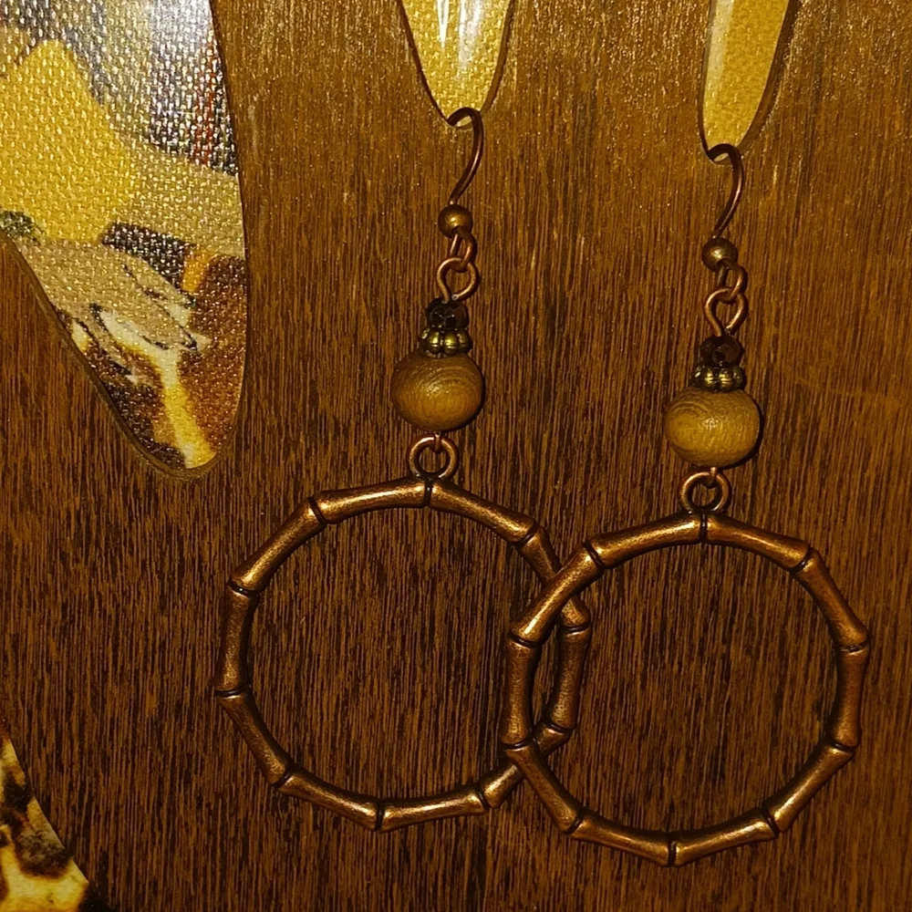 Bronze Earrings